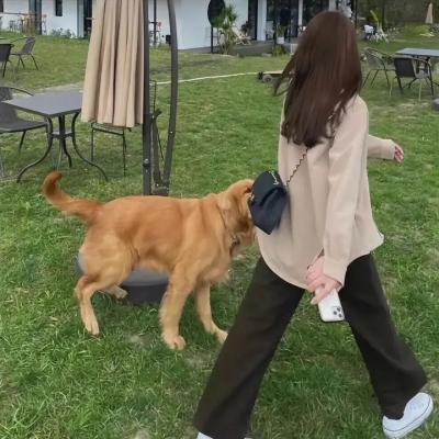 美味小姐与爆笑先生 在线观看